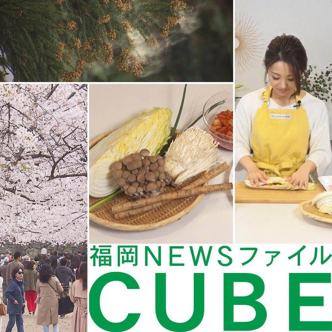テレビ西日本「Cubetnc」のインスタグラム