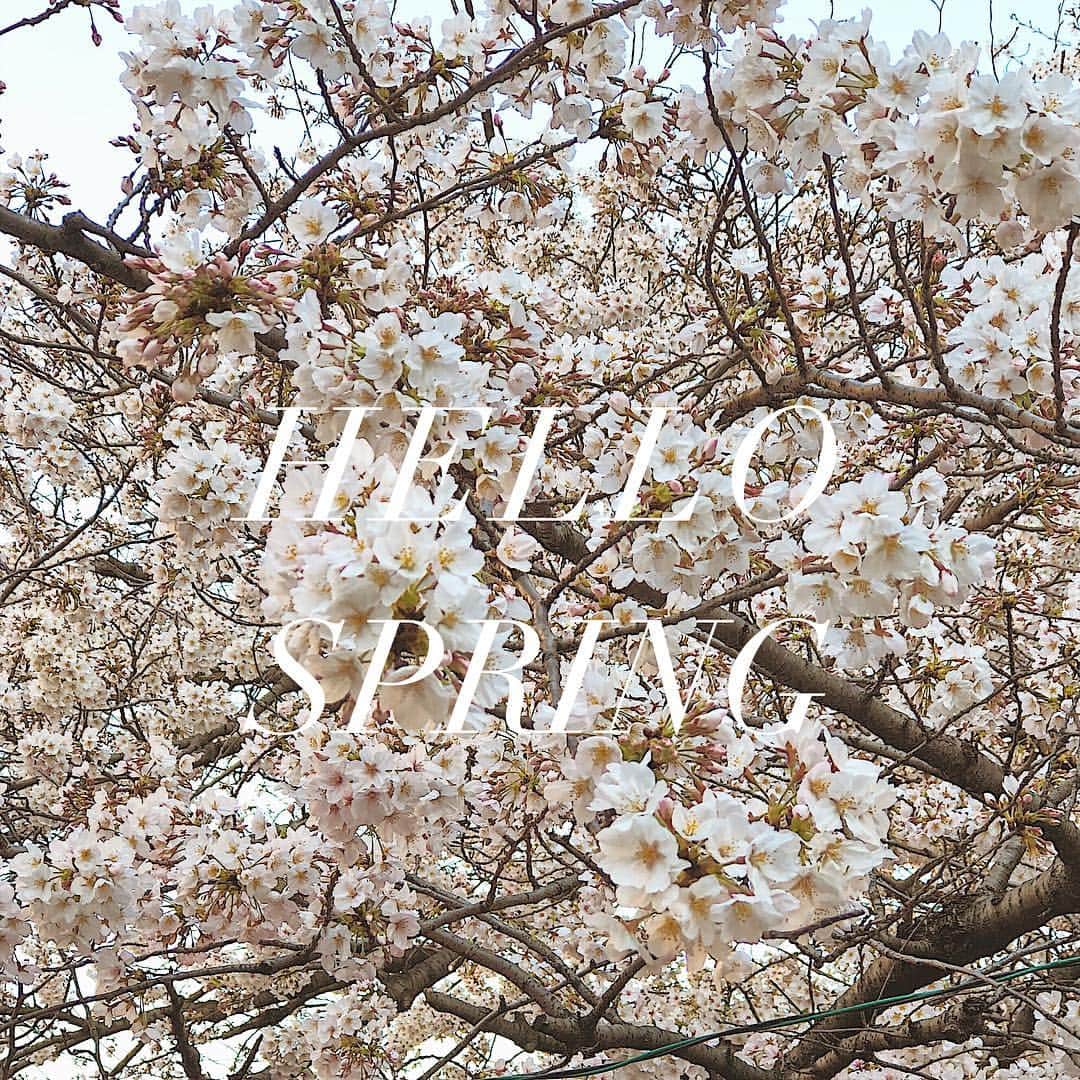 マイプリントさんのインスタグラム写真 - (マイプリントInstagram)「Hello Spring 🌸🌸🌸 新年度がはじまりましたね。 . 目黒川沿いの桜はまだまだ満開に咲いています。 今週末までが見頃のようです🌸🌸🌸 どうかステキなお花見を...✨ . . . ▼無料サンプル請求できます！▼ プロフィール @myprint_wedding 記載のURLより サンプルサイトへ飛べます💌😘 . . #マイプリント #myprint #ペーパーコンシェルジュ #ペーパーアイテム #招待状 #結婚式準備 #結婚式準備中  #日本中のプレ花嫁さんと繋がりたい #装飾 #テーブルコーディネート #プレ花嫁 #大人コーデ #2019夏婚 #2019秋婚 #桜 #さくら #お花見 #sakura」4月3日 21時03分 - myprint_wedding
