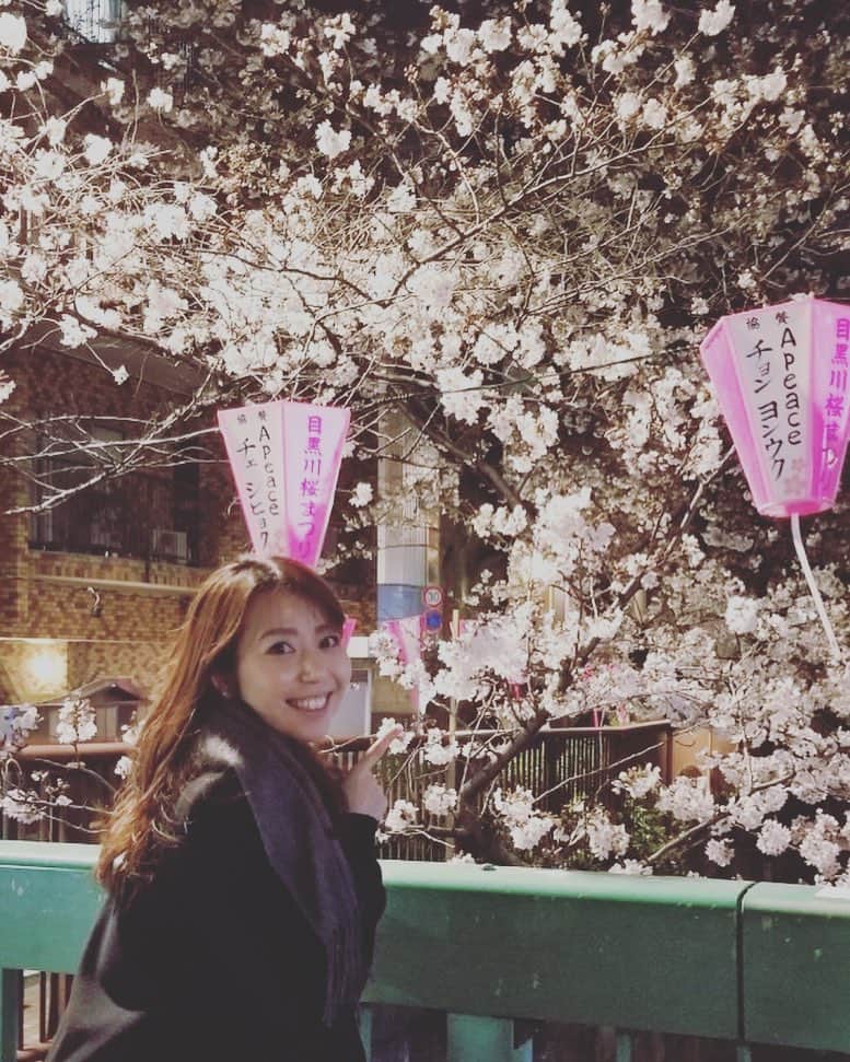 須黒清華のインスタグラム：「少し前ですが、夜桜見られました〜🌸 やっぱり桜って可愛いなぁ💕 まだちょっと寒いですけど、おかげで今年は長く桜が楽しめそうですね‼︎ もう一回くらいお花見したいなぁ✨ #桜 #お花見 #cherryblossom」