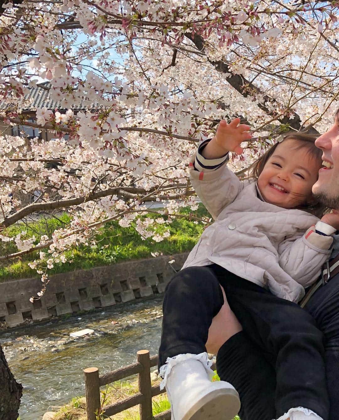 舟橋菜々さんのインスタグラム写真 - (舟橋菜々Instagram)「今日は岩倉の五条川まで桜を見に行きました🌸 天気は良かったけど、風が強かった〜😖🌬 最後の2枚は去年の📷💡 一年でこんなに大きくなったんだねぇ〜👏🏻☺️✨ We went to Gojyo-river for cherry blossom viewing! #cherryblossom#cherry#flower#beautiful#spring#baby#instababy#kid#daughter#mother#happy#smile#love#cute#お花見#桜#菜の花#春#五条川#赤ちゃん#娘#子供#ママ#育児#子育て#ハーフ#親バカ部#ベビフル#ママリ#コドモノ」4月3日 20時57分 - wombatnana