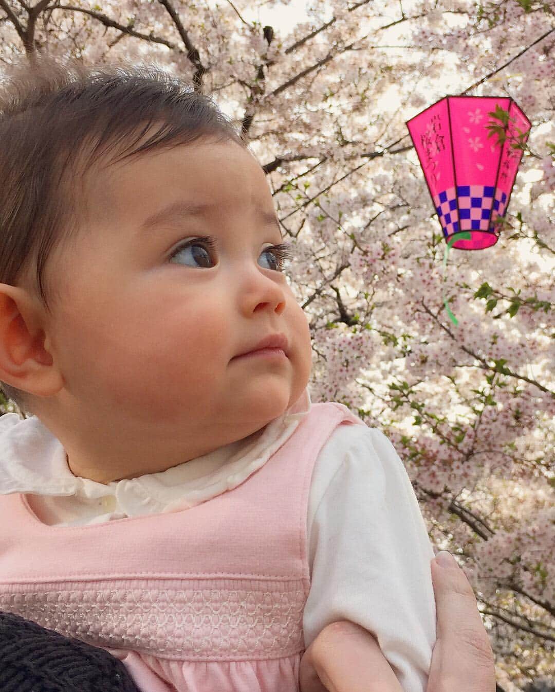 舟橋菜々さんのインスタグラム写真 - (舟橋菜々Instagram)「今日は岩倉の五条川まで桜を見に行きました🌸 天気は良かったけど、風が強かった〜😖🌬 最後の2枚は去年の📷💡 一年でこんなに大きくなったんだねぇ〜👏🏻☺️✨ We went to Gojyo-river for cherry blossom viewing! #cherryblossom#cherry#flower#beautiful#spring#baby#instababy#kid#daughter#mother#happy#smile#love#cute#お花見#桜#菜の花#春#五条川#赤ちゃん#娘#子供#ママ#育児#子育て#ハーフ#親バカ部#ベビフル#ママリ#コドモノ」4月3日 20時57分 - wombatnana