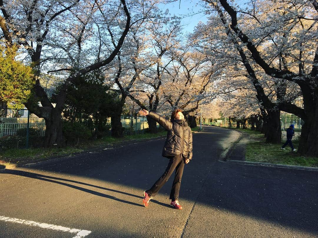 野本かりあさんのインスタグラム写真 - (野本かりあInstagram)「何年も毎週水曜日のテニスに参加させて貰えて、いつも感謝の気持ちだけれど、この季節は特別なんだ🌸」4月3日 20時59分 - karianomoto