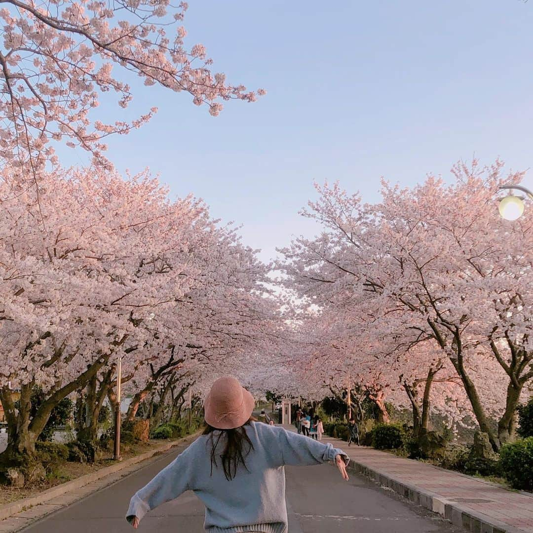 ハヌルさんのインスタグラム写真 - (ハヌルInstagram)「봄이야🌸🌸🌸」4月3日 21時30分 - haneulina