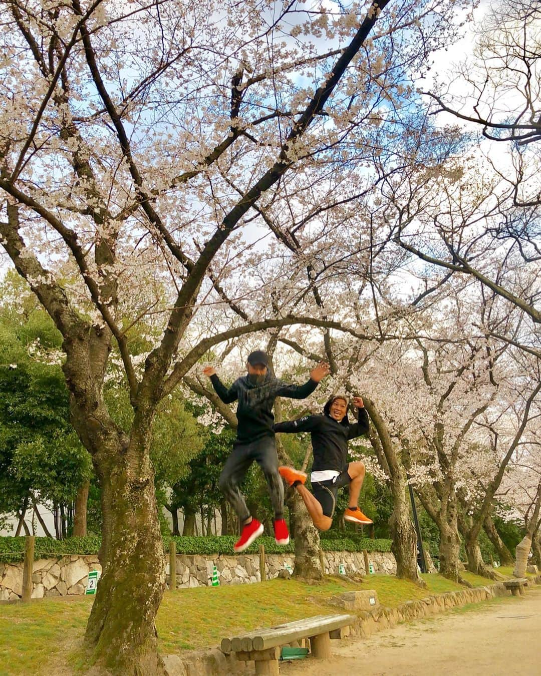 城戸康裕さんのインスタグラム写真 - (城戸康裕Instagram)「パンツスポンサーをして頂いてる佐藤記念病院の佐藤院長にご挨拶に、岡山まで行ってきたー✨ ・ ランニング中、突然のSASUKEステージ登場も、オタケ逃走(￣▽￣)笑 ・ #今年初桜 #cherryblossom  @mi.satoh.9006 @k1takeru  #岡山県 #running #SASUKE」4月3日 21時23分 - yasuhiro.kido