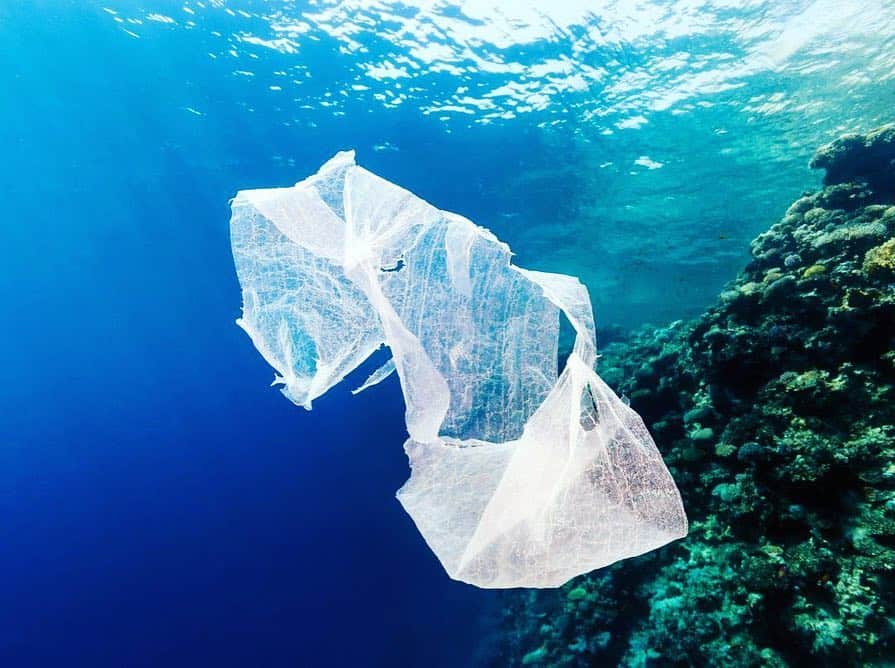 ミロスラヴァ・デュマさんのインスタグラム写真 - (ミロスラヴァ・デュマInstagram)「New York State announced BAN of single-use plastic shopping bags by March 2020, implementing the second statewide ban after California. This is AMAZING news! London, Paris, Rome, Moscow, ALL others, JOIN!!! 🌎🌍🌏」4月3日 21時33分 - miraduma