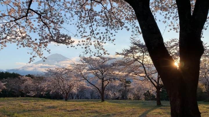 phantastic420のインスタグラム：「. 🤩🤩“Shizuoka” prefecture in Japan is a place where you can see the most “phantastic” Mt. Fuji🗻 in the world.🤩 #富士山 #mtfuji #japan #shizuoka #fujinomiya  #phantastic420photography #mostphantasticmtfuji #selamatpagi  #goodmorning  #おはようございます 😇😇😇😇😇😇😇🗻😇😇 今朝も寒かったです🤣」