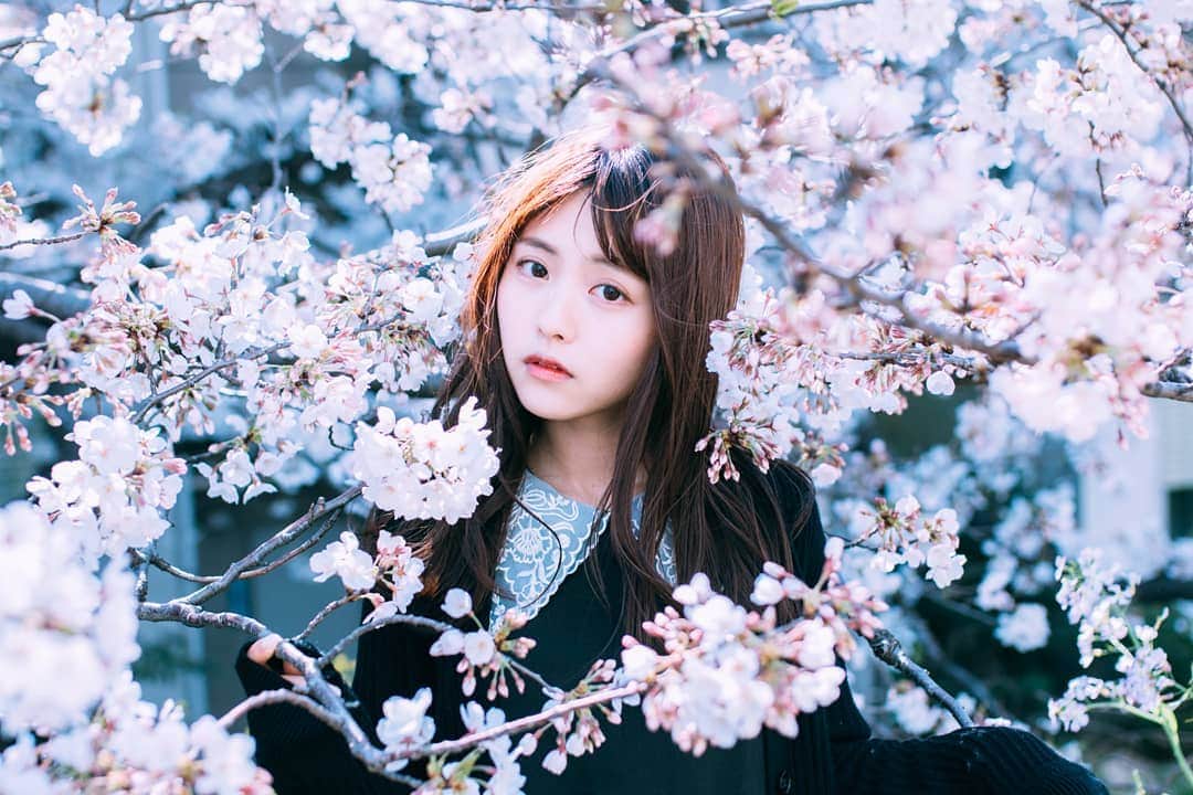 のインスタグラム：「🌸👩🌸 ・ Tokyo/Japan ・ @team_jp では【春色】チャレンジ開催中🌸 ・ 春を感じさせるお写真にタグを付けてご参加下さい🙏 ・ ・ 〈参加タグ〉#team_jp_春色2019 〈期間〉～4/18(木)22:00まで ・ ・ 素敵な春色をお待ちしております🌸🌸」