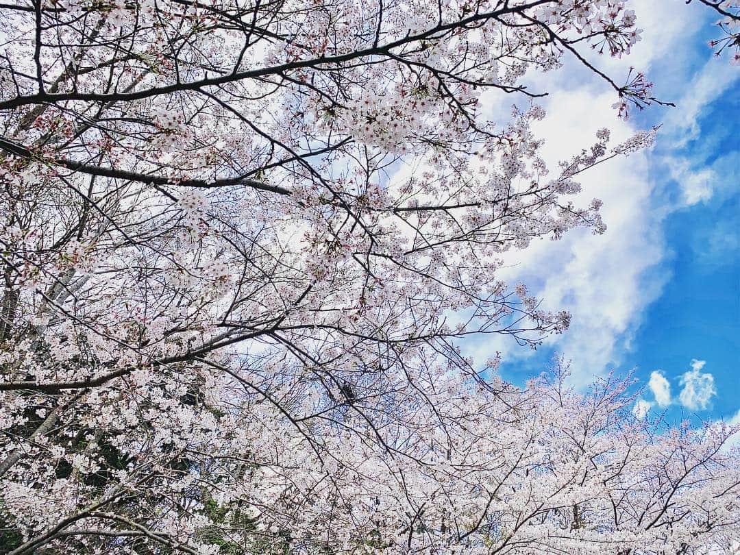 武田双雲さんのインスタグラム写真 - (武田双雲Instagram)「またお母様からの悩み相談の中でも多いのは 「うちの子は大丈夫でしょうか」  それに対して僕はたまにこう返している。 「だれがなんと言おうと、お母さんが我が子のことを大丈夫と思うこと。」 双雲@そして、お母さんも大丈夫(*^^*)」4月4日 7時13分 - souun.takeda