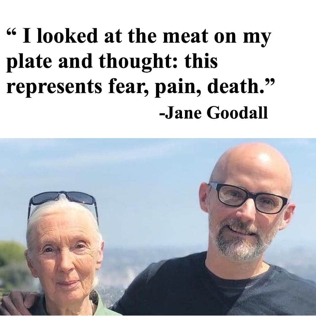 モービーさんのインスタグラム写真 - (モービーInstagram)「Happy birthday to my friend and hero Jane Goodall! Please join me in wishing her a happy birthday by donating to the @janegoodallinst」4月4日 7時14分 - moby