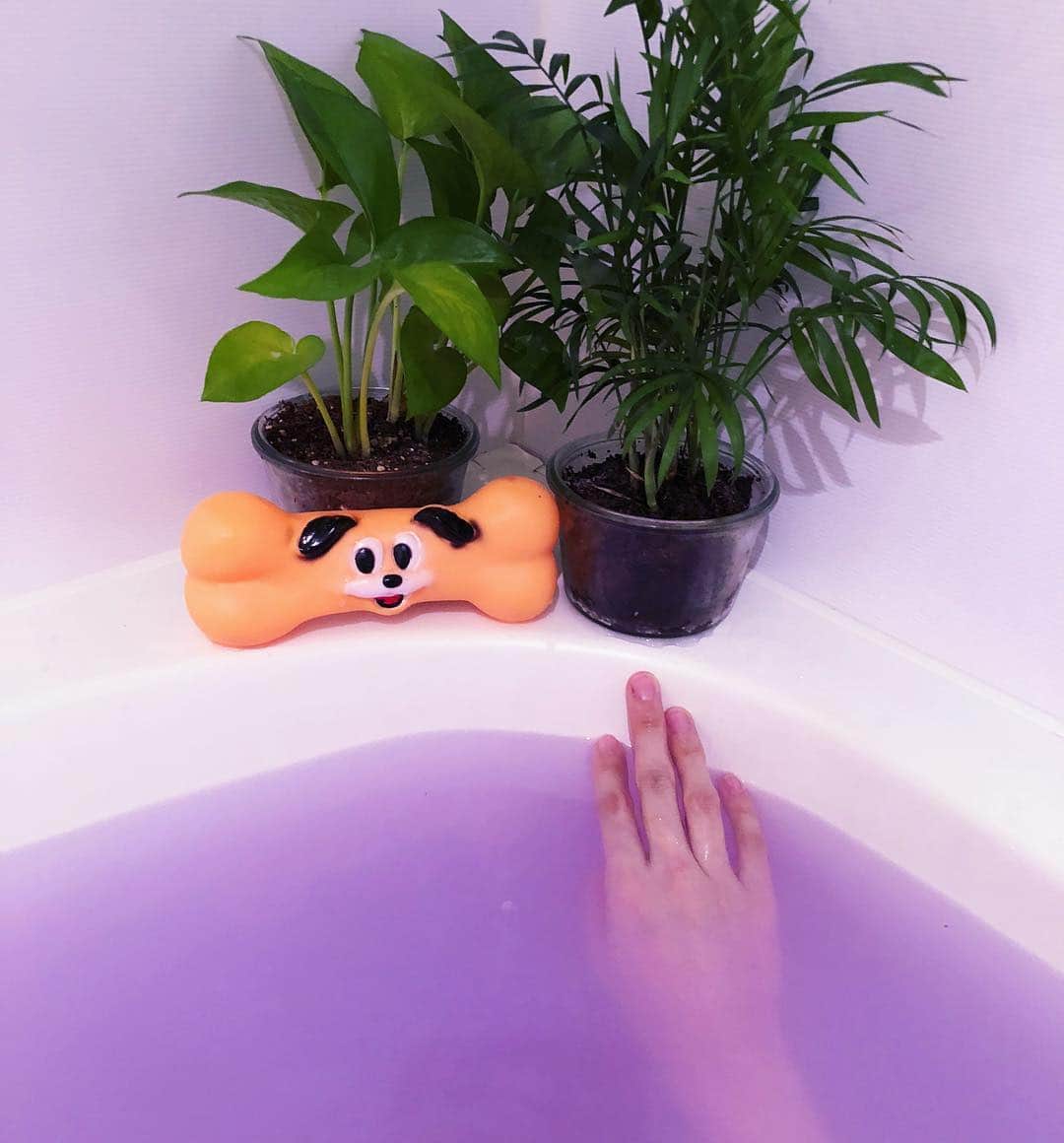 水野しずのインスタグラム：「おふろの色かわいすぎる。ホネいぬもリゾート感がでて楽しそう🌴🍹🌴」