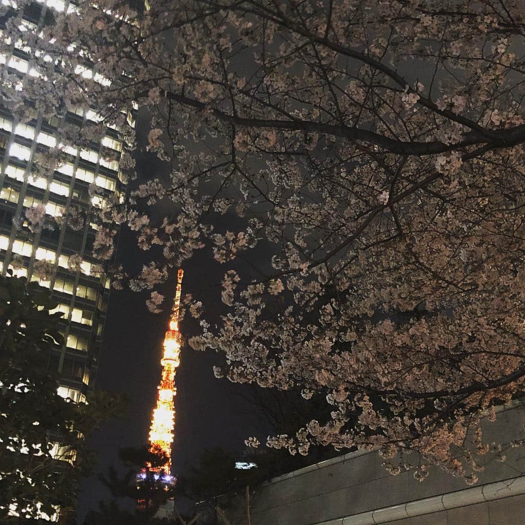 マシ・オカさんのインスタグラム写真 - (マシ・オカInstagram)「Back in Japan during my favorite time of year! #sakura #cherryblossoms  #桜」4月4日 7時58分 - masioka