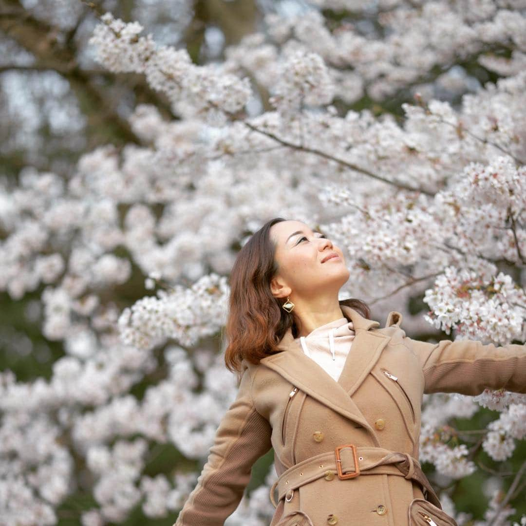 レイチェル・チャンさんのインスタグラム写真 - (レイチェル・チャンInstagram)「Breathing in the energy of... cherry blossom.... beautiful spring time.... #nikondf #Nikon #tokyo #cherryblossom #portraitphotography #portrait #japan #ニコン #ニコン女子 #写真好きな人と繋がりたい #花の写真 #桜」4月4日 8時07分 - rachelchanjpn