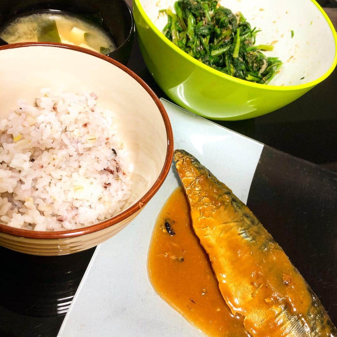 かわうちきっぺいのインスタグラム：「あ、そういえば昨日のご飯 #サバの味噌煮 #雑穀米 #ほうれん草のおひたし #かわうちきっぺい  #うんまい」