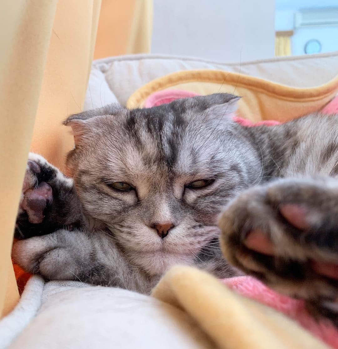 tiaichimaのインスタグラム