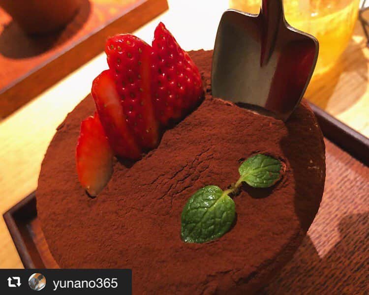 ハレノヒのインスタグラム：「#repost @yunano365 via @PhotoAroundApp  大西マンと土掘ってきた🌷.* #うえきばちケーキ  #新宿 #ハレノヒ #ハレノヒカフェ @yunano365様 ご来店ありがとうございます😊お写真も嬉しいです♪ #ルミネエスト新宿#新宿#フラワーポット#かわいい#ケーキ#ここでしか食べられない#スイーツ#cafe#cute#harenohi#tokyo#shinjuku#lumineest#flowerpot#cake#sweets」