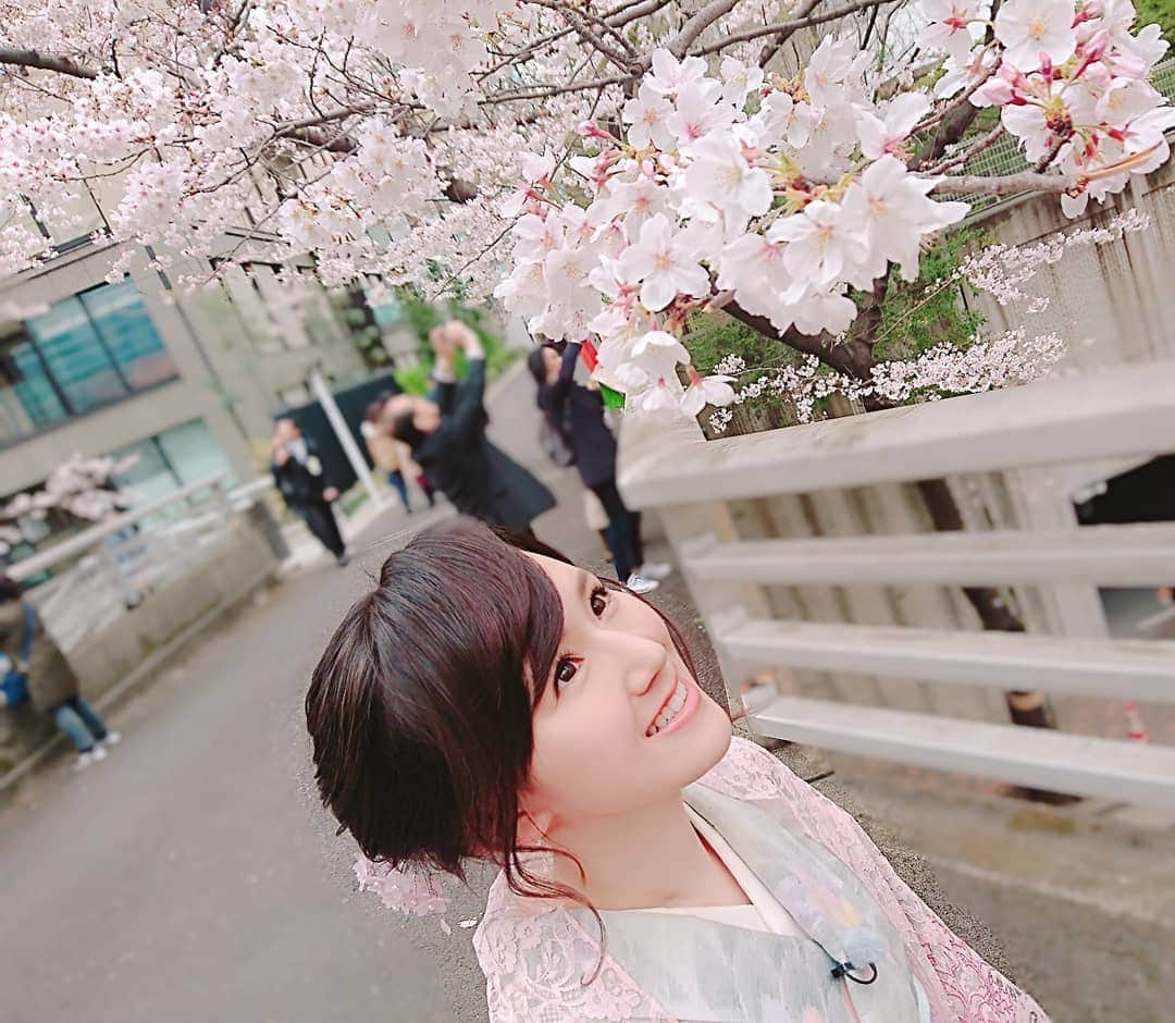 谷中麻里衣さんのインスタグラム写真 - (谷中麻里衣Instagram)「My report "Cherry Blossom Businesses Blooming" is airing today on "NEWSLINE" 🌸 Watch NHK World, broadcast internationally in over 150 countries 😉 . お花見ビジネス特集、毎時のニュース番組で今日放送しています☺️ NHKワールドアプリでみてね💓 . #麻里衣きもの #NHKWorld #NHK #NEWSLINE #internationalbroadcast #news #TV #cherryblossom #桜 #お花見 #着物」4月4日 8時30分 - marieyanaka