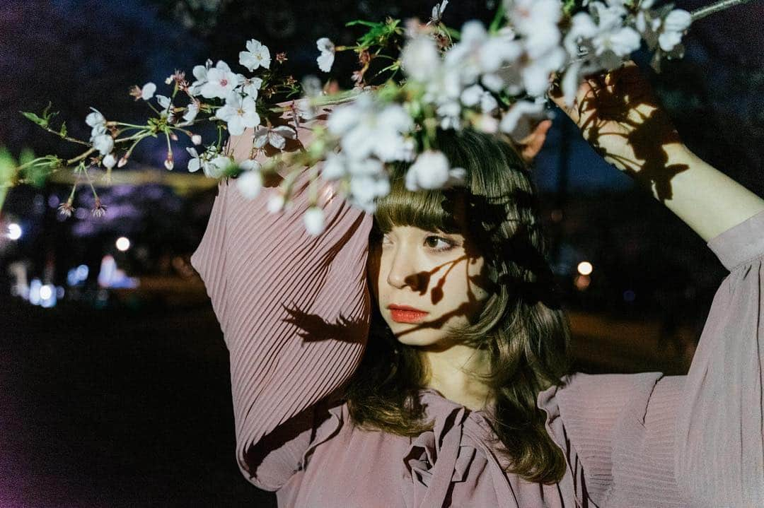 藤城アンナさんのインスタグラム写真 - (藤城アンナInstagram)「桜が散る前に、りかさんに撮ってもらった♡♡ photo by @tmomat  #cherryblossom  #桜  #portraitphotography  #portrait #polishgirl  #polish #japanesegirl  #model #iphone #shooting #CY8ER #japanseidol」4月3日 23時46分 - annafujishirochan