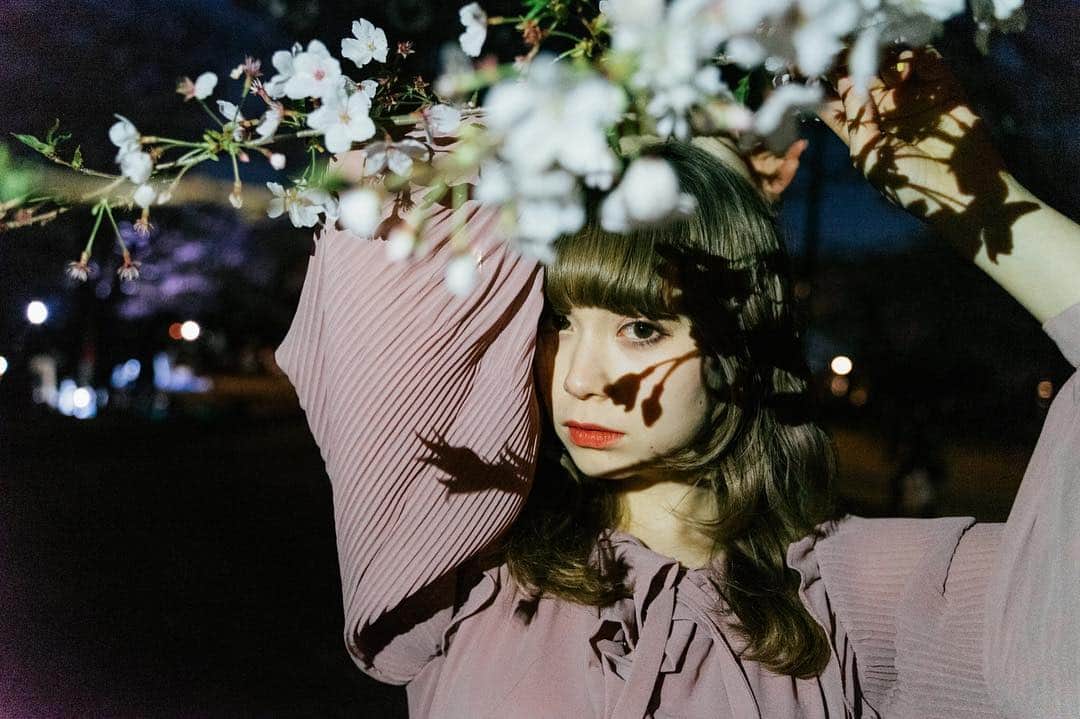 藤城アンナさんのインスタグラム写真 - (藤城アンナInstagram)「桜が散る前に、りかさんに撮ってもらった♡♡ photo by @tmomat  #cherryblossom  #桜  #portraitphotography  #portrait #polishgirl  #polish #japanesegirl  #model #iphone #shooting #CY8ER #japanseidol」4月3日 23時46分 - annafujishirochan