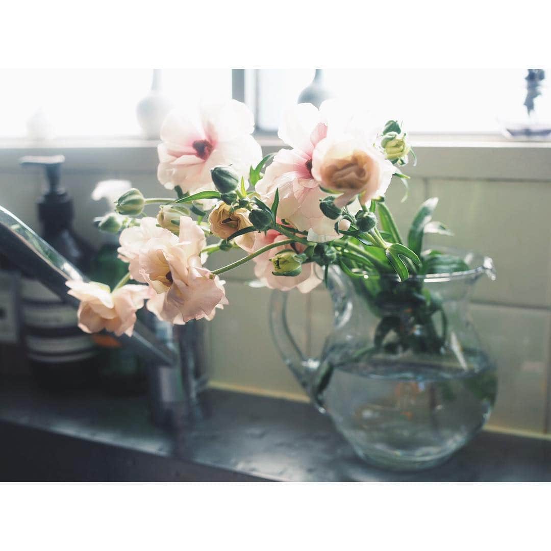 高山都さんのインスタグラム写真 - (高山都Instagram)「ラナンキュラスは、ばさっと束ねてラフに太めの花瓶に、可憐な花たちは、小さな花瓶に少しずつ切ってバランス調整。 たくさん入れすぎても、長すぎても違う。アンニュイなニュアンスが出るように。 殺風景で物が沢山な生活感全開な台所の、唯一の楽しみ。 明日は、我が家で撮影。うつわと料理の撮影。ドキドキドキドキ。。」4月4日 0時18分 - miyare38