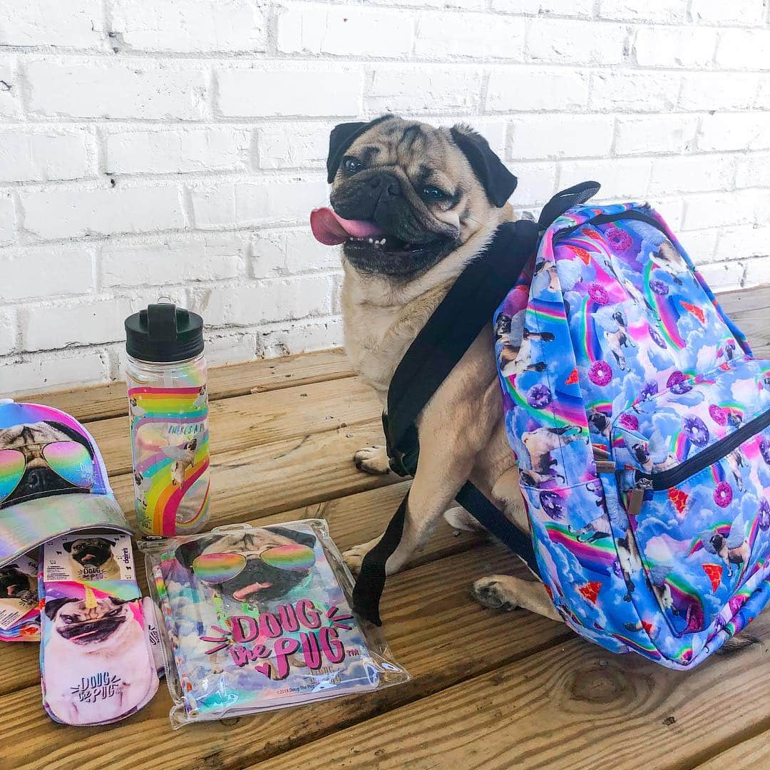 itsdougthepugさんのインスタグラム写真 - (itsdougthepugInstagram)「“Gimme all the unipugs and rainbows” -Doug • When ur obsessed with ur own merch...my new unicorn line is now available at @clairesstores and it’s my fav one yet!! Available in-stores and online, link in bio 🦄 #dougthepugxclaires」4月4日 0時44分 - itsdougthepug