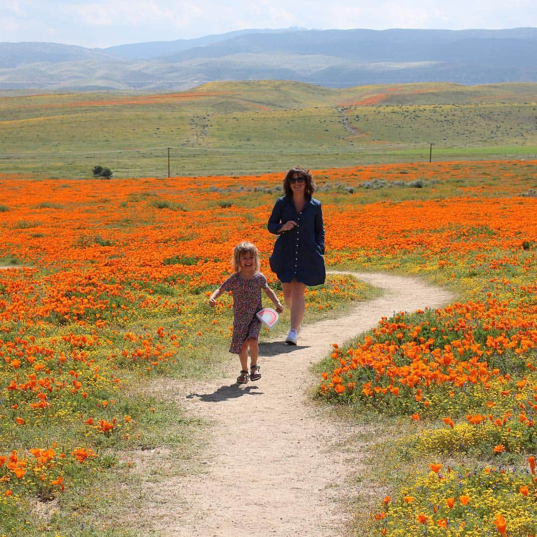 テイト・エリントンさんのインスタグラム写真 - (テイト・エリントンInstagram)「Yesterday was...perfect! For some reason I opted to dress like Ted Kaczynski. #superbloom2019 #superbloom」4月4日 0時46分 - tateellington