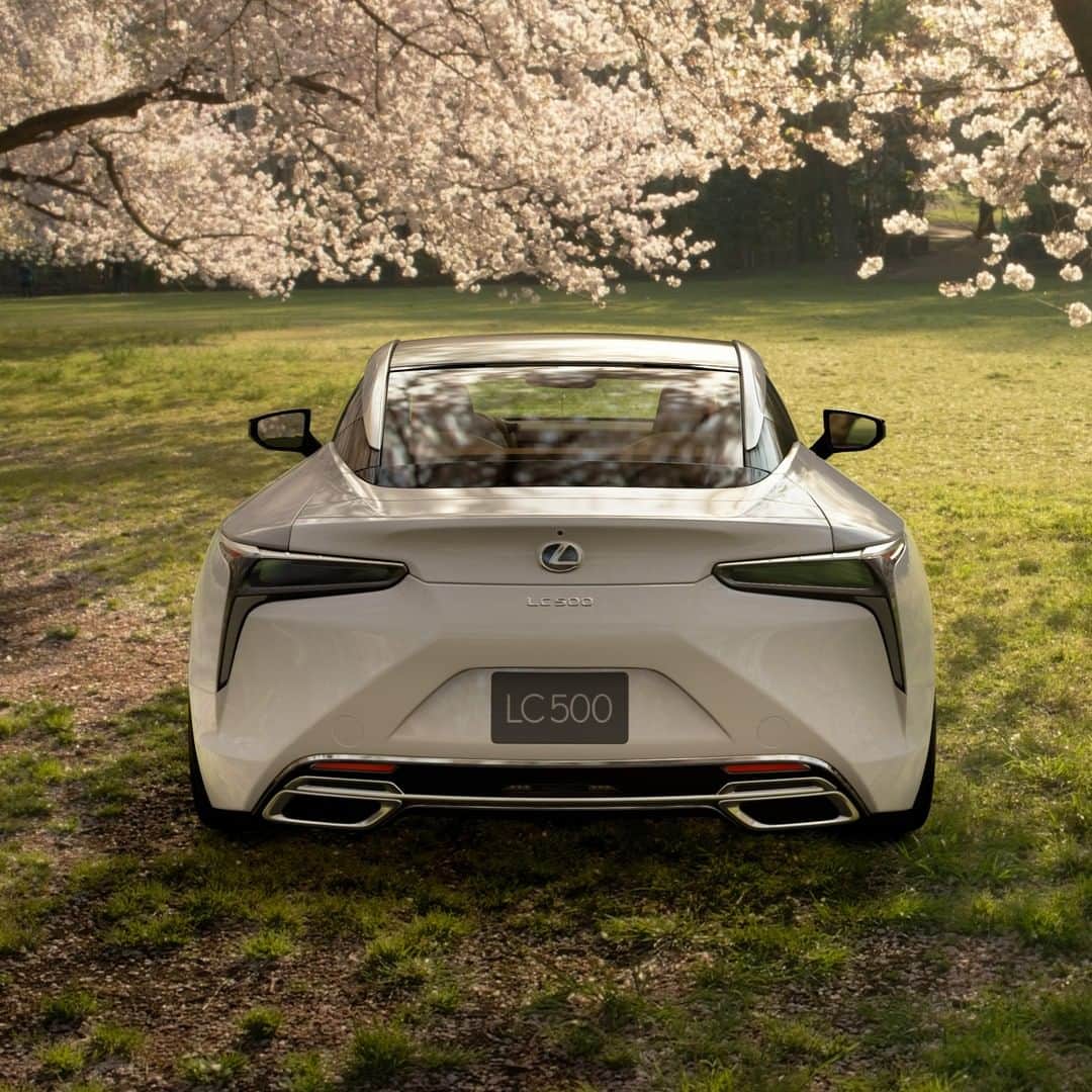 Lexus UKさんのインスタグラム写真 - (Lexus UKInstagram)「You can experience #Sakura season with the #LexusLC on #GTSport.  #Automotive #Lexus #CherryBlossom」4月4日 1時00分 - lexusuk