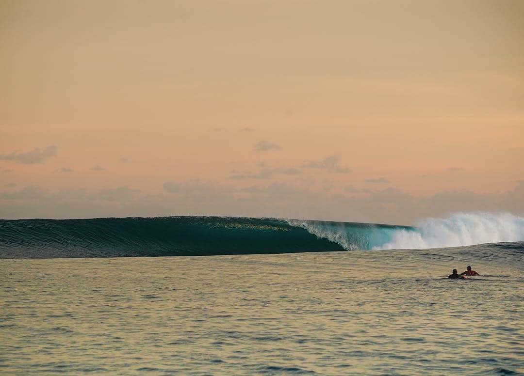 surflineさんのインスタグラム写真 - (surflineInstagram)「Late March in the Mentawais. 📷: @alaiamentawai」4月4日 0時58分 - surfline
