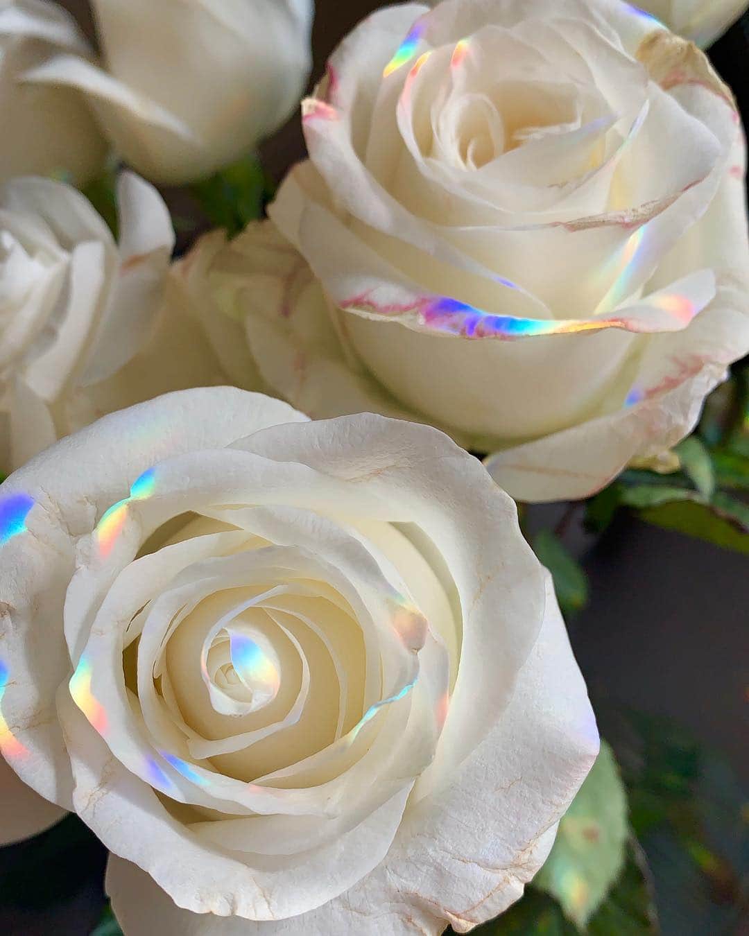 マンディー・ジルーのインスタグラム：「morning magic ✨🌈」
