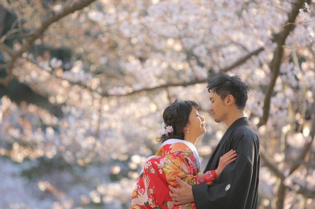 スタジオTVBりんくう店のインスタグラム：「. 桜が見頃な和歌山城。 . そっと、 キスを… . . 和歌山城ロケ . photo 岡田 有加 @yuka_okada_tvb  hairmake  赤枝 南 @tvb.minami.a #日本中のプレ花嫁さんと繋がりたい #全国のプレ花嫁さんと繋がりたい #写真好きな人と繋がりたい #風景 #art  #枝垂れ桜  #wakayama #フォトウェディング #関西花嫁  #東京カメラ部 #フォトレイト #プレ花嫁 #和歌山城 #桜 #春の訪れ  #和装 #marryxoxo  #inst_wakayama  #オシャレさんと繋がりたい  #instagramjapan  #lovers_nippon_artistic  #tokyocameraclub #art_of_japan_ #Far_EastPhotoGraphy #cherish_photo_days」