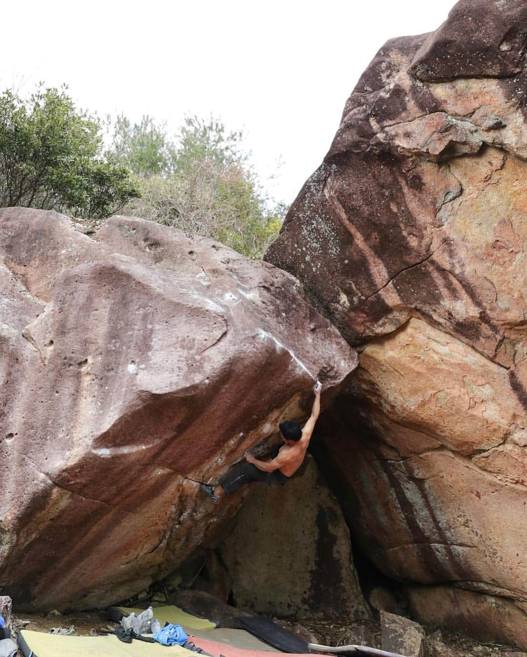 小山田大さんのインスタグラム写真 - (小山田大Instagram)「Yes! I did it!! Sent the project in Hiei today. Very nice problem. There was one reach move and I felt hard for myself. Probably V13/14. After this, I tried the next project after sunset and made a little progress. This project is really hard. Good weather continues recently, and the future looks good. I want to do my best. 今日比叡の開拓エリアでトライしていたプロジェクトを完成させました。 核心は左手のカチから甘く遠いリップに飛ぶムーブで自分には難しかった。 リーチによってグレード感が違いそうなのでV13/14  4/5段と幅を持たせてみました。見た目もムーブも非常に見栄えする課題です。 これでルーフＰに集中出来そう。 今日はちょっとだけ前進。」4月4日 1時04分 - dai_koyamada