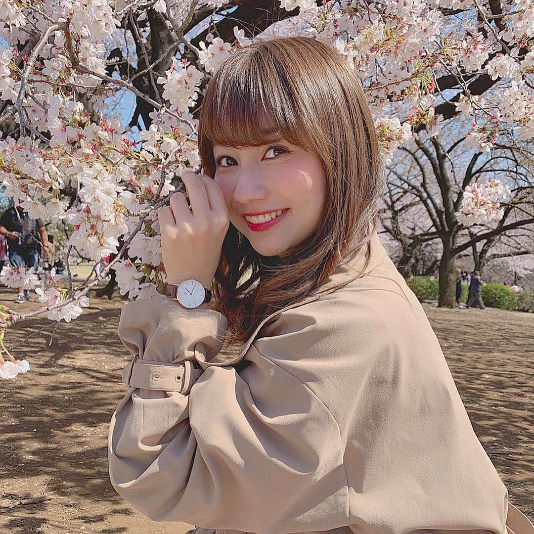 細沼紗花さんのインスタグラム写真 - (細沼紗花Instagram)「. . 桜散る前に見れた！🥰🌸 春って花粉さえなければ最高なのになぁ〜🤧🤧 . 私が腕につけてる時計！ ダニエルウェリントン様からいただいたものです〜！ 嬉しい🥰 なんとこちら、気分によって腕時計のベルトを自由に交換できるのです！私はトレンチコートに合うようにこの日は茶色のベルトをつけました🥰 . ＜腕時計と交換ベルトの自由な組み合わせが10％OFF＞ ＜15%OFFクーポンコード併用可能＞ ＜ギフトラッビング無料＞ . 15％OFFクーポンコード：kokudai （5/31まで有効、公式サイト使用のみ） https://www.danielwellington.com/jp　 @danielwellington .  #danielwellington#ダニエルウェリントン#春色チェンジ#時計#腕時計#桜#新宿御苑 #細沼紗花」4月4日 1時24分 - sayaka_hosonuma