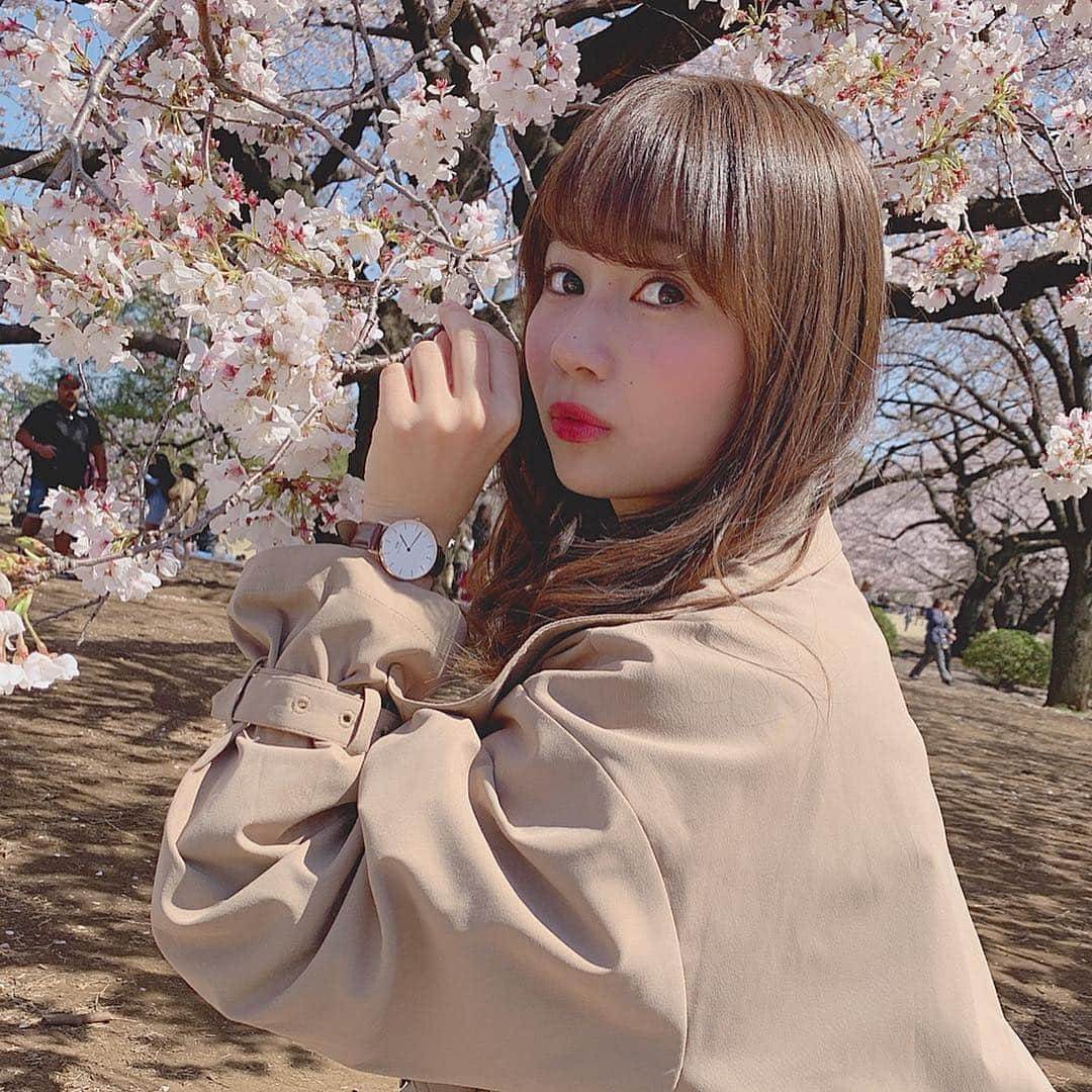 細沼紗花さんのインスタグラム写真 - (細沼紗花Instagram)「. . 桜散る前に見れた！🥰🌸 春って花粉さえなければ最高なのになぁ〜🤧🤧 . 私が腕につけてる時計！ ダニエルウェリントン様からいただいたものです〜！ 嬉しい🥰 なんとこちら、気分によって腕時計のベルトを自由に交換できるのです！私はトレンチコートに合うようにこの日は茶色のベルトをつけました🥰 . ＜腕時計と交換ベルトの自由な組み合わせが10％OFF＞ ＜15%OFFクーポンコード併用可能＞ ＜ギフトラッビング無料＞ . 15％OFFクーポンコード：kokudai （5/31まで有効、公式サイト使用のみ） https://www.danielwellington.com/jp　 @danielwellington .  #danielwellington#ダニエルウェリントン#春色チェンジ#時計#腕時計#桜#新宿御苑 #細沼紗花」4月4日 1時24分 - sayaka_hosonuma