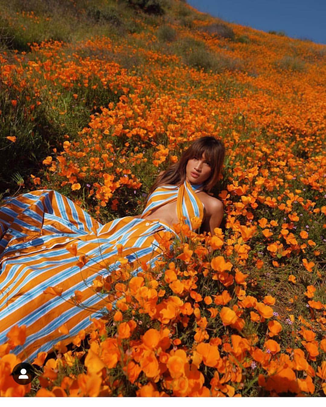 scottlippsさんのインスタグラム写真 - (scottlippsInstagram)「I didn’t make it to the #superbloom so here’s a great pic of @rocky_barnes by 📷 @matt_coop there #jealous #flowers in #cali」4月4日 1時52分 - scottlipps