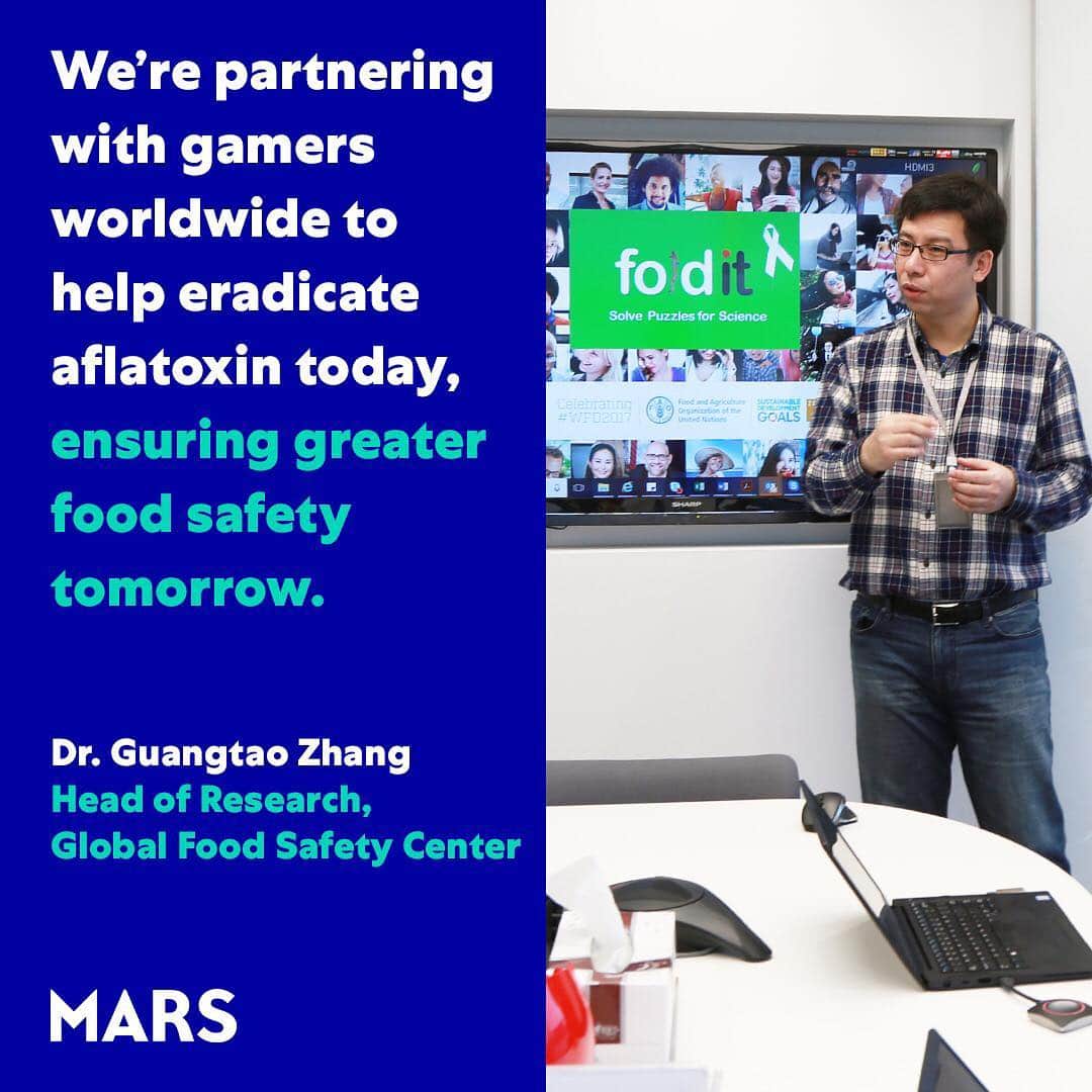 Marsさんのインスタグラム写真 - (MarsInstagram)「Who knew playing a Tetris-like computer game could destroy a killer in our food system? Guangtao is crowdsourcing solutions with gamers today, to wipe out a dangerous foodborne carcinogen tomorrow. “I wanted to make a difference in people’s life by providing safe food for all. We realized we would need more than just a few scientists to address this challenge. Foldit enables the exploration of unknown food safety possibilities that have never been explored conventionally.” #TomorrowStartsToday」4月4日 2時00分 - marsglobal
