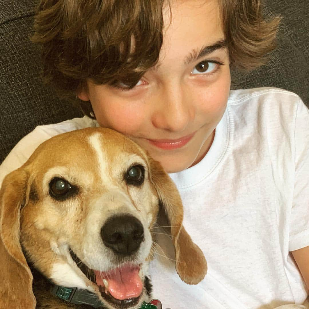 イライアス・ハーガーさんのインスタグラム写真 - (イライアス・ハーガーInstagram)「Meet my dog Sarah. She LOVES LOVES food. She’s turning 14 soon and can’t see very well anymore. So now she tries to eat things that aren’t actually food like my foot!  Mom! Sarah needs a cookie! 🐶🦶🏻🍪🤷🏻‍♂️」4月4日 2時25分 - eliasharger