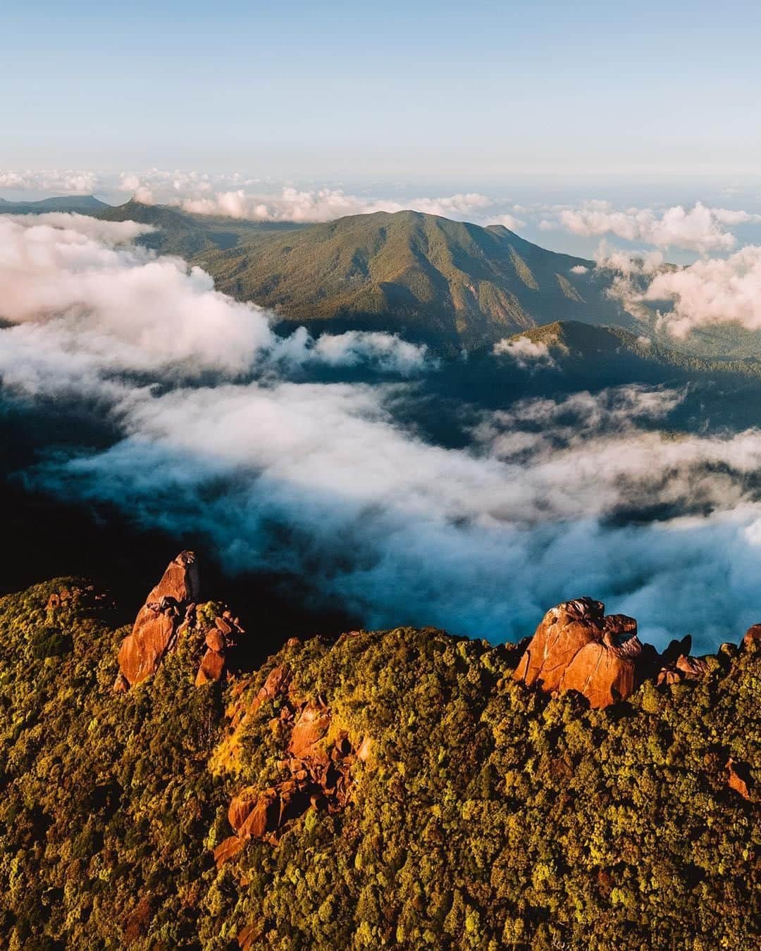 Australiaさんのインスタグラム写真 - (AustraliaInstagram)「We’ve got our head in the clouds today and rather enjoying it ☁️ @reubennutt captured this “magical scene above the clouds” in @tropicalnorthqueensland’s #DaintreeRainforest, which makes up part of the largest continuous area of tropical #rainforest in #Australia. Located in @queensland’s @portdouglasdaintree region, you can get here via a two-hour drive from #Cairns, or book a guided tour that offers pick-ups, like @tonystropicaltours, @daintreediscoverytours and @downundertours all do. Learn about the rainforest’s ecosystem from your tour guides, swim under waterfalls, meet local wildlife, and simply have a jolly good time!  #seeaustralia #thisisqueensland #exploreTNQ #portdouglasdaintree #travel」4月4日 3時00分 - australia