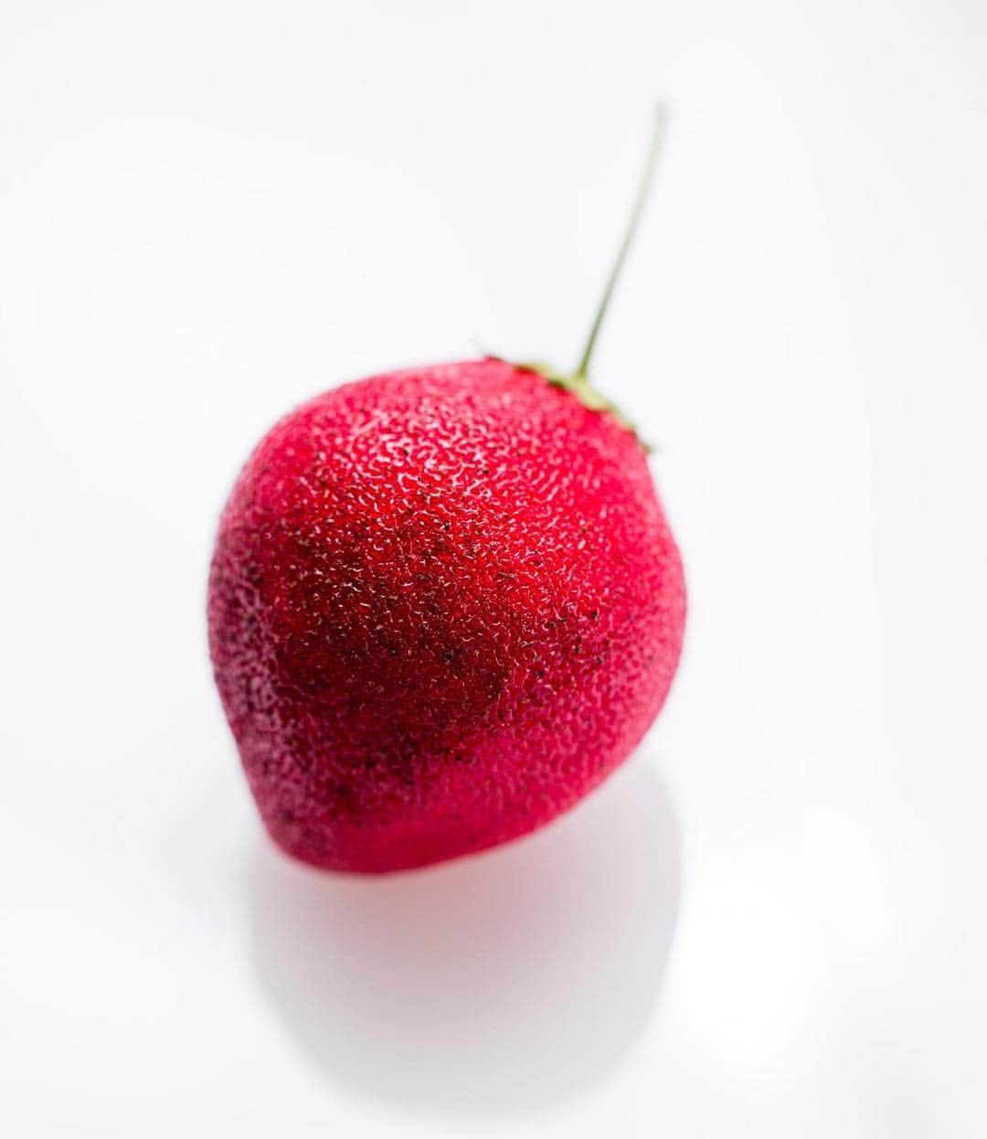 DOMINIQUE ANSEL BAKERYさんのインスタグラム写真 - (DOMINIQUE ANSEL BAKERYInstagram)「La Fraise, a ruby red strawberry made with strawberry ganache and a center of fresh strawberries and strawberry compote. 🍓 One of three of @cedricgrolet’s pastries that we’ll be bringing to NYC for the very first time this Friday to Sunday at #DominiqueAnselBakery in #Soho. See you all there! 😎 #DominiqueAnselXCedricGrolet」4月4日 3時23分 - dominiqueansel