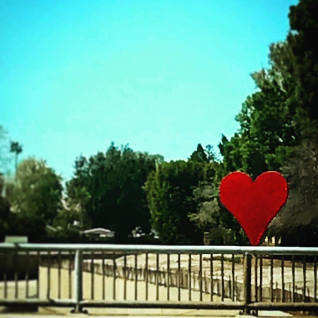 エリザベス・パーキンスさんのインスタグラム写真 - (エリザベス・パーキンスInstagram)「Signs everywhere. They’re there if we’re open to seeing them. #love ♥️♥️♥️♥️♥️」4月4日 5時41分 - elizabethperkins