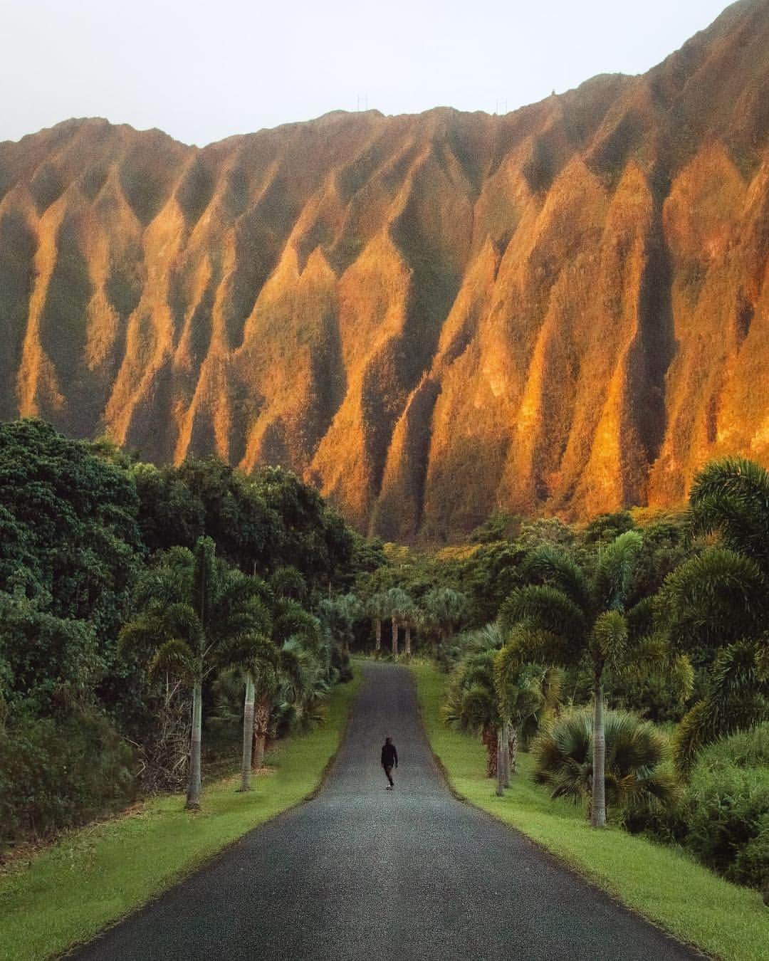 CANON USAさんのインスタグラム写真 - (CANON USAInstagram)「"Happy to say that I’m collaborating with CanonUSA over the next couple of weeks to showcase the power of the EOS Rebel T7i. I snagged this shot a couple of days back in Hawaii. I pulled up with @thewandertravels @philngyn and @zeekyan before the sun came up. While we sat warming up in the cars, the clouds parted and painted the hills with this beautiful light. We were able to snag this shot despite the lowlight thanks to the EOS Rebel T7i’s sensor.  In order to get this shot, you have to arrive early before the gates open to drivers. I probably skated up and down this road more than 10 times in about the 5 minutes that the nice color lasted.  Stay Adventurous Dear Friends!!" - @karl_shakur  Camera: #Canon EOS Rebel T7i Lens: EF 24-105mm f/4L IS USM Aperture: f/4 ISO: 800 Shutter Speed: 1/100 sec Focal Length: 24mm  #canon #teamcanon #shootforgreatness #canoneos #eosrebelt7i #hawaii #oahu」4月4日 6時01分 - canonusa
