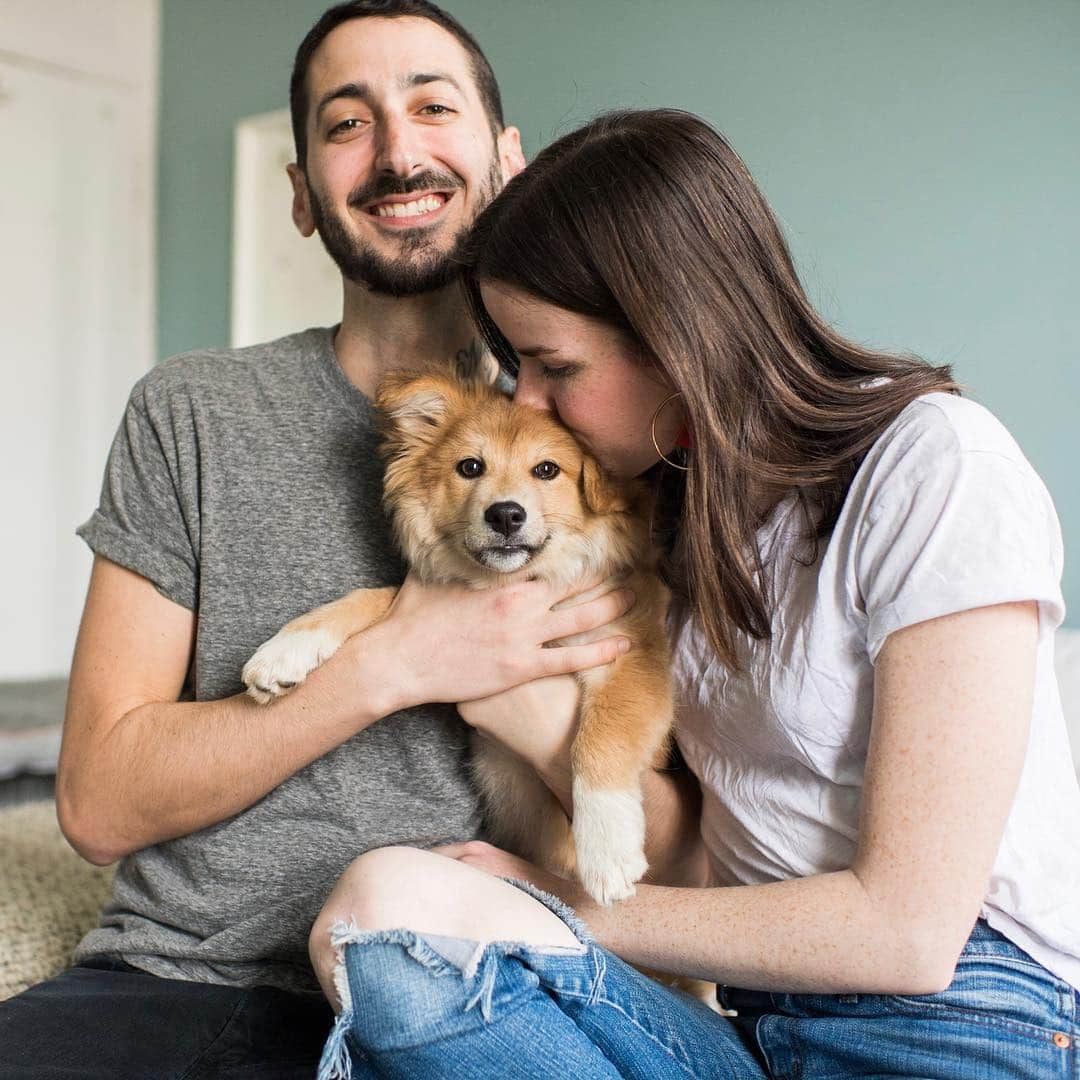 The Dogistさんのインスタグラム写真 - (The DogistInstagram)「The Dogist family is getting bigger (and fluffier)! That’s right, the little puppy we’ve been fostering has found his forever home with our Project Manager, Isabel, and her boyfriend, Eric. His official name is now Simon and we’re creating a page just for him, @SimonSits. Isabel has been at The Dogist for three years, has fostered five dogs (so far) and is officially foster failing Simon. They say ‘when you know, you know’, and Isabel knew pretty much instantly (his cuteness may have helped). We’re very happy to have him on the team and to all the people who applied to adopt him, thank you for thinking of rescuing and you’ll now be able to follow Simon’s whole life through @simonsits」4月4日 6時23分 - thedogist