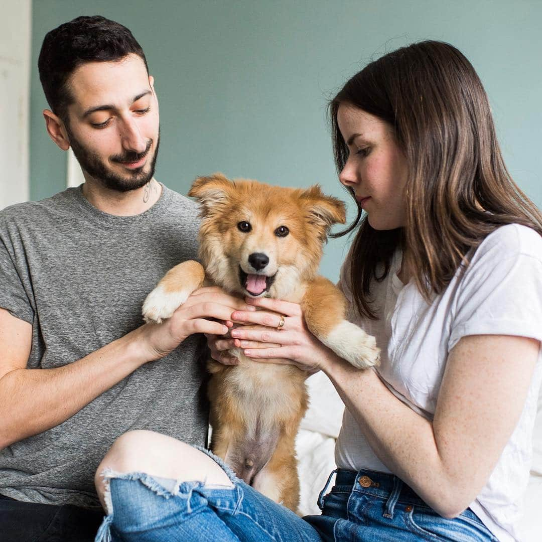 The Dogistさんのインスタグラム写真 - (The DogistInstagram)「The Dogist family is getting bigger (and fluffier)! That’s right, the little puppy we’ve been fostering has found his forever home with our Project Manager, Isabel, and her boyfriend, Eric. His official name is now Simon and we’re creating a page just for him, @SimonSits. Isabel has been at The Dogist for three years, has fostered five dogs (so far) and is officially foster failing Simon. They say ‘when you know, you know’, and Isabel knew pretty much instantly (his cuteness may have helped). We’re very happy to have him on the team and to all the people who applied to adopt him, thank you for thinking of rescuing and you’ll now be able to follow Simon’s whole life through @simonsits」4月4日 6時23分 - thedogist