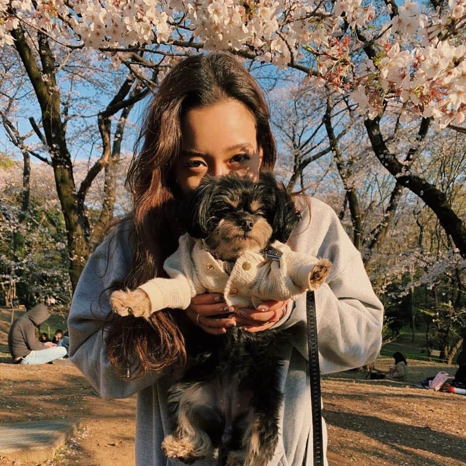 のインスタグラム：「. お花見🌸楽しかった☺️」