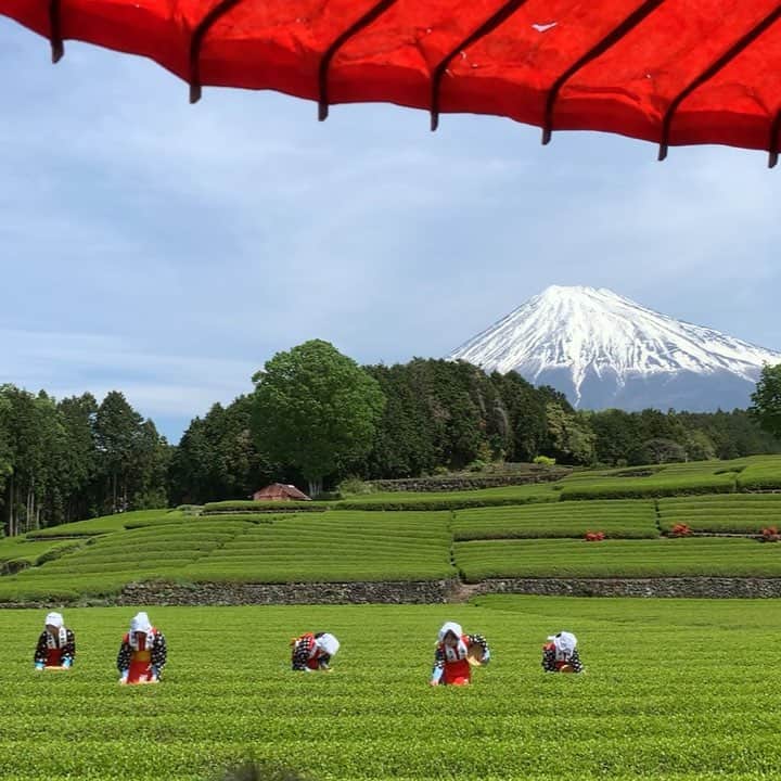 phantastic420のインスタグラム：「. 🤩🤩“Shizuoka” prefecture in Japan is a place where you can see the most “phantastic” Mt. Fuji🗻 in the world.🤩 #富士山 #mtfuji #japan #shizuoka #fujinomiya  #phantastic420photography #mostphantasticmtfuji #selamatpagi  #goodmorning  #おはようございます 😇😇😇😇😇😇😇🗻😇😇 良い天気ですねぇ〜暑い😵💦 さて帰って薪割ろう🤣💦」