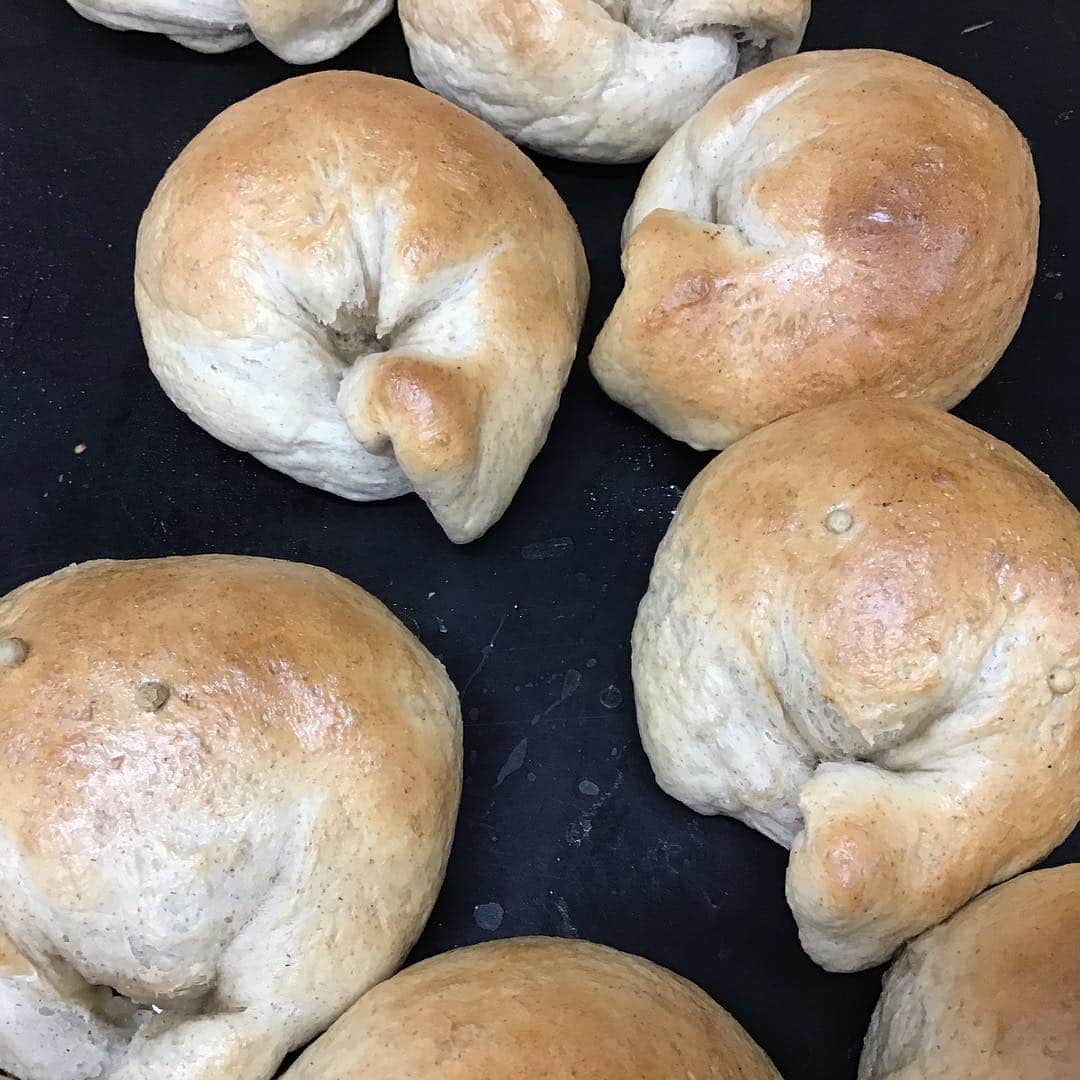 魔女菅原のグルメインスタ