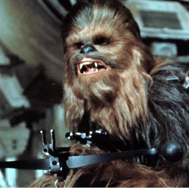 ロブ・ゾンビのインスタグラム：「So long Chewie. You were the coolest .」