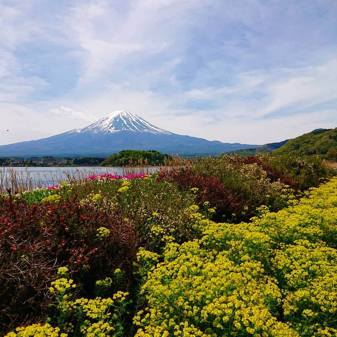 フレシャス公式(FRECIOUS) さんのインスタグラム写真 - (フレシャス公式(FRECIOUS) Instagram)「河口湖越しの富士山絶景のために たくさんの観光客が来場する、 GW真っ只中の大石公園より☀️ . ───────────── ★GWキャンペーン実施中★ こちらよりフォローしてください♪ ↓　↓　↓ 【フレシャス公式】 @frecious_official ───────────── . . #フレシャス #FRECIOUS #天然水 #富士山 #mtfuji #富士山の銘水 #今日の富士山 #ウォーターサーバー #絶景 #世界遺産 #世界文化遺産 #山梨 #山梨県 #富士吉田 #シンプル #シンプルライフ #丁寧な暮らし #ていねいな暮らし #雪化粧 #mountain #japan #大石公園」5月3日 11時01分 - frecious_official