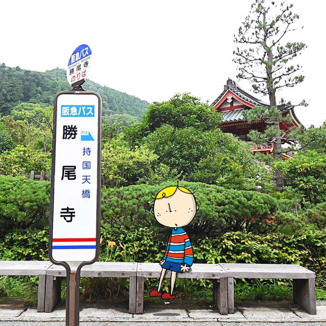 のインスタグラム：「I'm enjoying the warm spring weather with a trip out to Katsuoji Temple... . 少し暖かくなってきたら緑を感じに少し遠出をして勝尾寺へ♪ . . #katsuoji #osakatemple #勝尾寺 #withOsakaBob #OSAKA #maido」