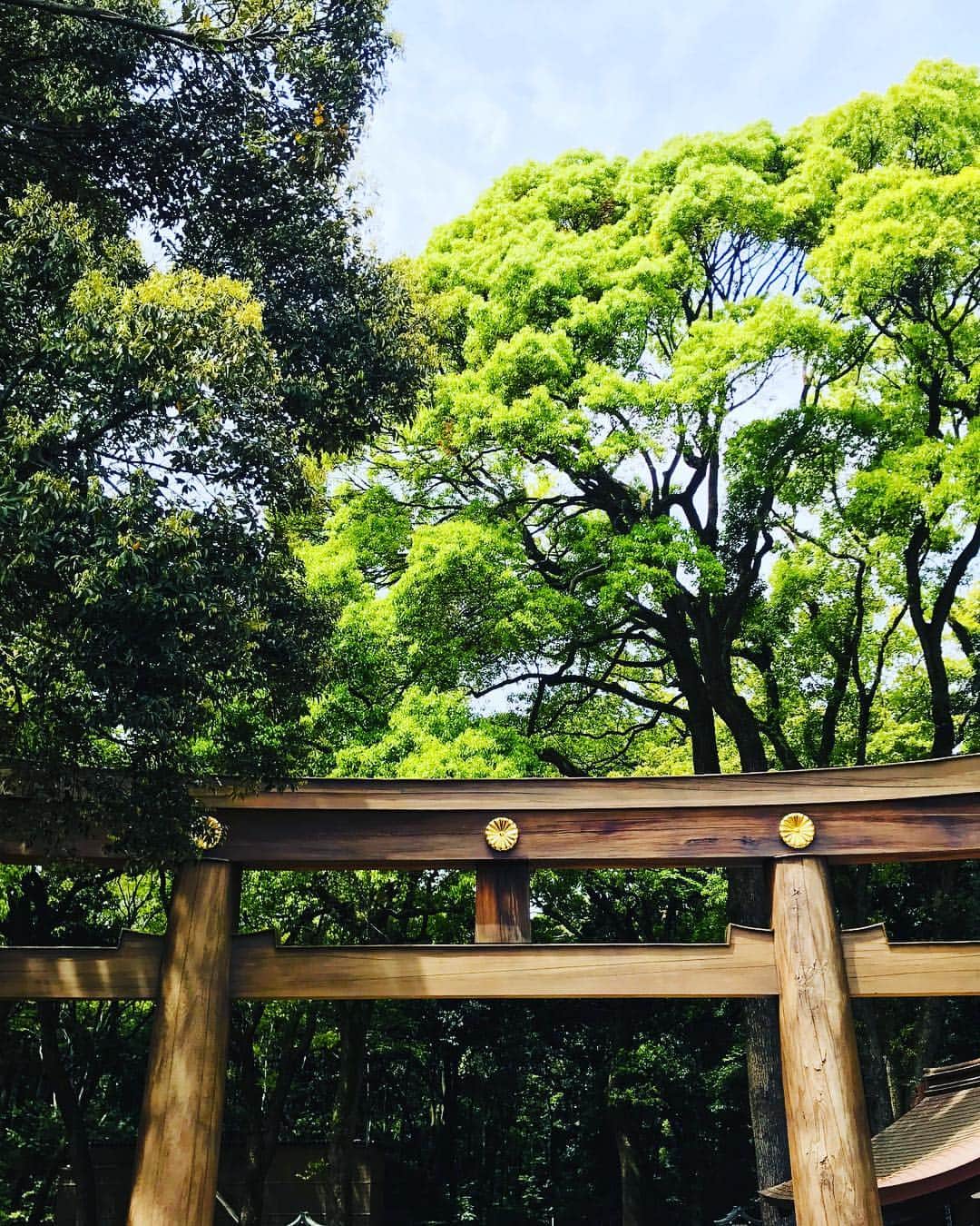 のインスタグラム：「Beautiful day!  #散歩 #meijishrine #2019」