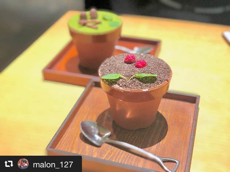 ハレノヒのインスタグラム：「#repost @malon_127 via @PhotoAroundApp  大きいのもあったんだけど、小さめの選んでよかった 多分食べきれない…😣﻿ でもとても甘くて美味しかった。﻿ ﻿ #ハレノヒ #ハレノヒカフェ #植木鉢 #植木鉢ティラミス #植木鉢カフェ #植木鉢スイーツ #植木鉢ケーキ #新宿 #新宿カフェ #東京 #東京カフェ #カフェ #カフェ巡り #カフェ好き #カフェスタグラム #harenohi #flowerpot #uekibachi #shinjuku #tokyo #cafe #cafes #cafetería #cafe巡り #cafestagram #instagood #instalike #instagram #instalove @malon_127様 ご来店ありがとうございます😊お写真も嬉しいです♪」
