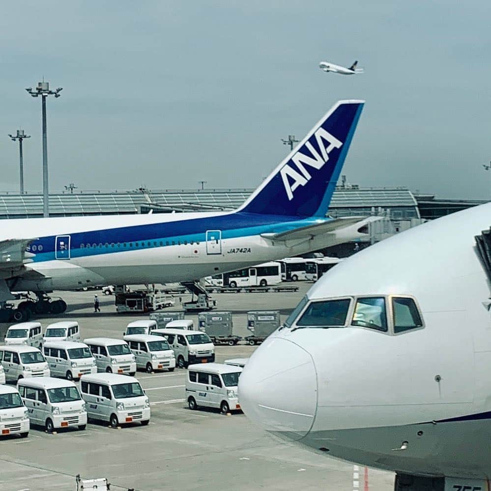 片山正通さんのインスタグラム写真 - (片山正通Instagram)「これから🐟出張の為札幌へ！@ 羽田空港 Sapporo-bound for 🐟 trip! @ Haneda Airport」5月3日 11時33分 - masamichi_katayama